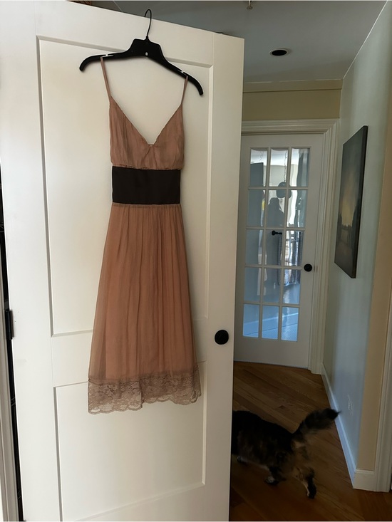 Madison Dresses & Skirts - Madison Dusty Rose Midi Dress with Dark Brown Waistband